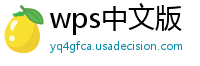 wps中文版